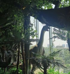 -恐龙探索乐园(磁器口店)