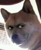 -全家便利店(星湖街店)