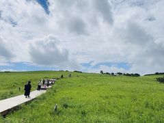 -塞罕坝国家级自然保护区