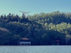 -深圳仙湖植物园