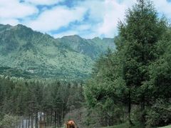 -硗碛藏寨·神木垒景区