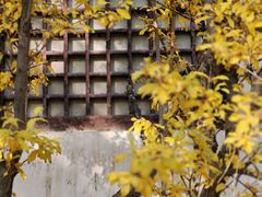 -西柏坡红色胜典景区