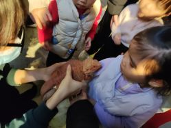 -酷嗒动物文化乐园(cutezoo西溪乐天城店)