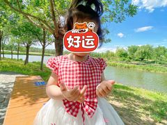 -东郊湿地公园