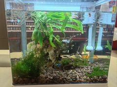 -海底捞大排档火锅(悦荟广场店)