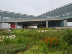 -涉地可支