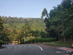 -火炉山森林公园