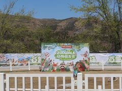 -大青山野生动物园