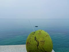-养马岛旅游度假区