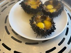 马粪海胆-港畔赶海蒸汽海鲜烧烤自助(仙螺岛店)
