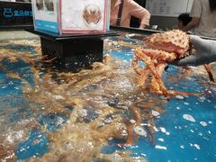 -盒马鲜生(曜一城店)