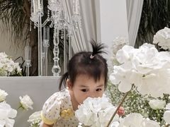 -满天星花园