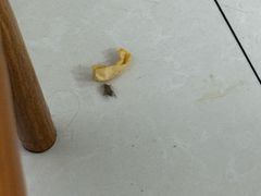 -小白房辣焙子(西落凤街店)