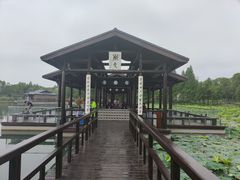 -渤公岛生态公园