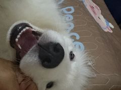 -申普宠物医院·眼科·心内科·影像科(普陀分院)