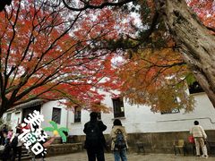 -无锡惠山寺