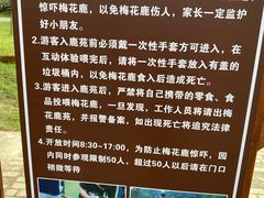 景点-明孝陵