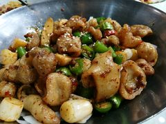 -天成川菜馆(华乐店)