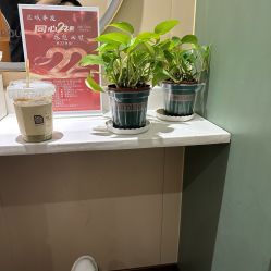-丝域养发馆