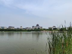 -莲花池公园