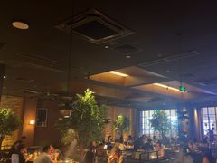 -同仁四季椰子鸡(宝安壹方城店)
