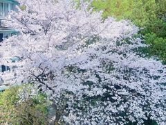 -浙江大学医学院附属第二医院(解放路院区)