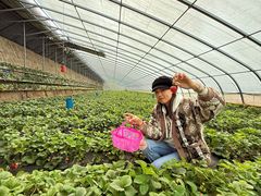 -兴芮温泉度假区