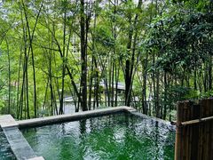 -花水湾第一村温泉大酒店