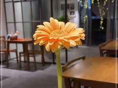 -一坐一忘云南菜(嘉里中心店)