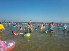 -碧海金沙