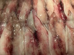 -焰江山海鲜牛排烤肉自助(锦华万达二星店)