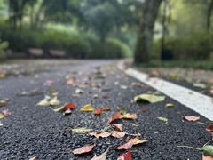 -东湖磨山景区