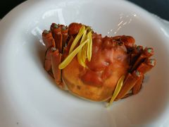 -蟹榭·本帮江浙菜·蟹宴(五角场合生汇商场店)