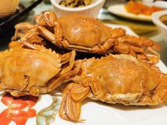 -新日月育才大酒店-中餐厅(环城北路店)