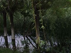 -艾溪湖湿地公园
