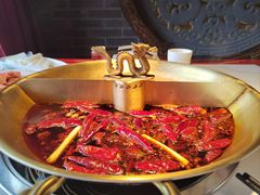 -小龙翻大江文化火锅(宽窄店)