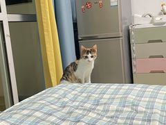 -暖阳宠物医院·犬猫康复中心·骨科
