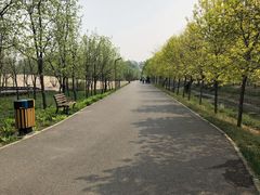 -东郊湿地公园