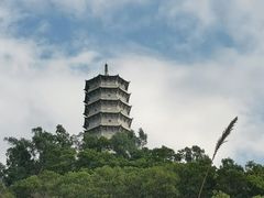 -深圳国际园林花卉博览园