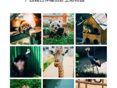 -西霞口神雕山野生动物世界