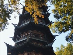 -上海佘山国家森林公园西佘山园