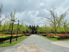 -黄兴公园