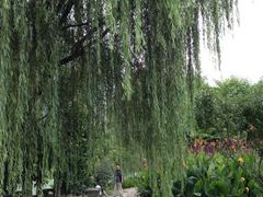 iphone_upload_pic-白塘生态植物园