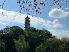-江心屿景区