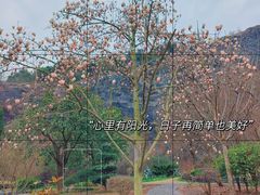 -上海辰山植物园