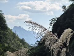 -鄣山大峡谷