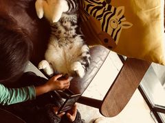 -咖法森林·咖啡  酒吧(天河店)