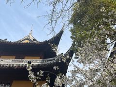 -龙华寺