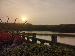 -紫金山山顶公园