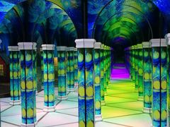 -天津梵高星空艺术馆(天河城旗舰店)